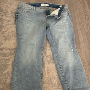 Torrid jeans